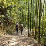 Villa de Vacances en Malaisie : Plongez dans le Luxe et l’Intimité