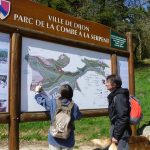 Les Meilleurs Parcs et Jardins de Dijon pour une Pause Nature en Ville