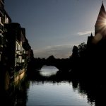 Metz Botanique en Famille : Exploration Naturelle et Complicité
